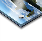 A-10 Thunderbolt II Warthog Acrylic print