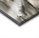 Curtiss P-40 Warhawk BW Acrylic print