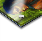 Harmony with Nature Acrylic print