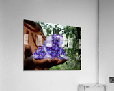 Bufo Alvarius - Sonoran Desert Toad  Acrylic Print