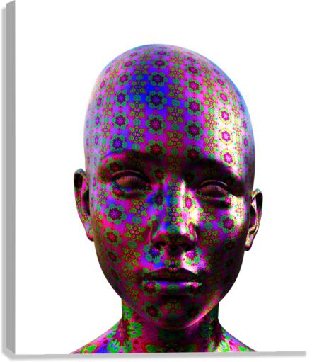 DMT Ayahuasca Experience Canvas Print