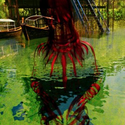 Amazon River Ghost - End of a Culture