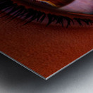 Female Space Explorer witnesses the Carina Nebula as seen by the James Webb Telescope Metal print