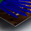 Ancient Egyptian Goddess Isis  Metal print