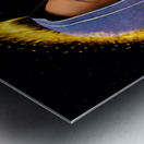 Madonna And Child - Galilean Mary and Jesus - 75MP 3:4 ratio Metal print