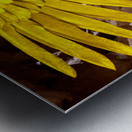 Ancient Egyptian Goddess Isis  Metal print