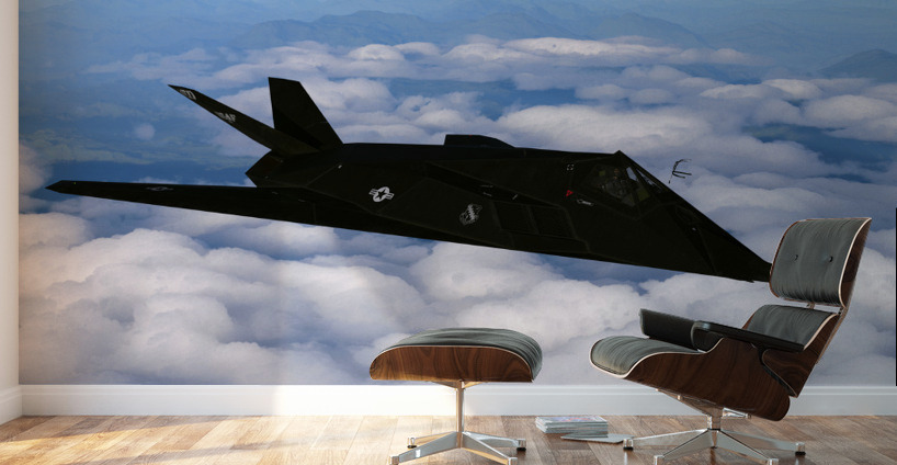 Lockheed F-117 Nighthawk Wall Murals