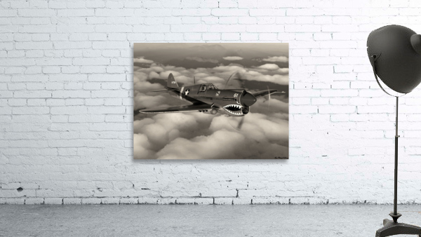 Curtiss P-40 Warhawk BW Wall Preview