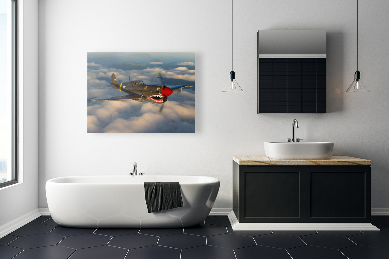 Curtiss P-40 Warhawk Color Reproduction