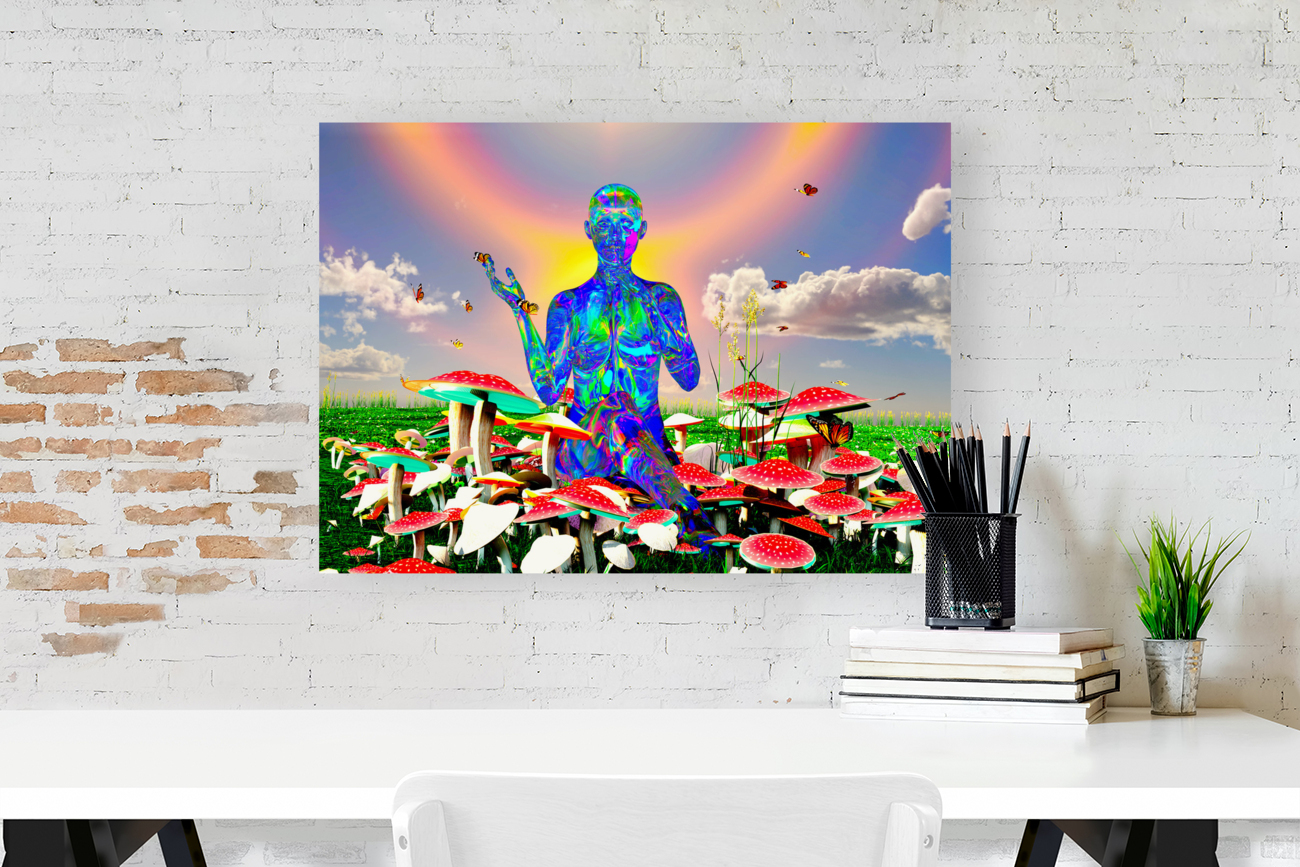 Magic  psychedelic psychoactive psilocybin mushrooms Reproduction