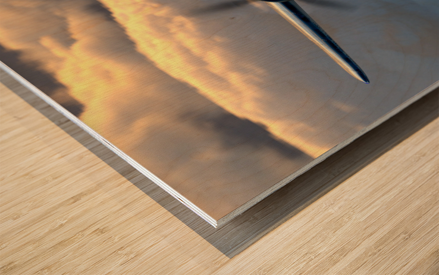 Messerschmitt Bf 109 Wood print