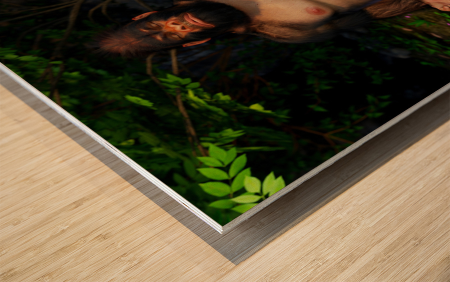 Yo-Gorilla - Transitioning through Meditation Wood print